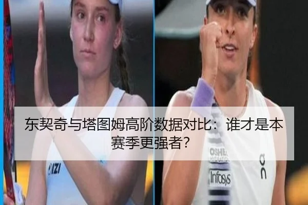 dong-qi-qi-yu-ta-tu-mu-gao-jie-shu-ju-dui-bi-shui-cai-shi-ben-sai-ji-geng-qiang-zhe-2-201.jpg