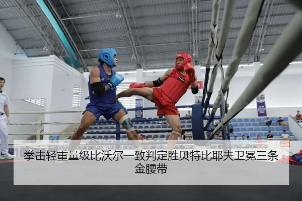 拳击轻重量级比沃尔一致判定胜贝特比耶夫卫冕三条金腰带