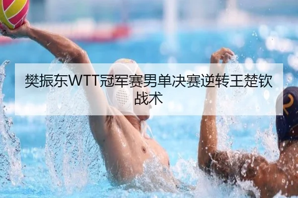 樊振东WTT冠军赛男单决赛逆转王楚钦战术